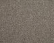 Easy Living Choice 34oz Carpet