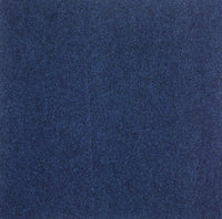 Primavera Rib