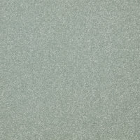 Easy Living Plus Carpet