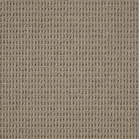 Brampton Carpet