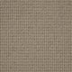 Brampton Carpet