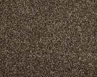 Easy Living Choice 34oz Carpet