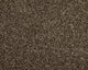 Easy Living Choice 34oz Carpet