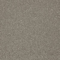 Easy Living Plus Carpet