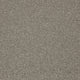 Easy Living Plus Carpet