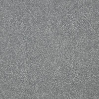 Easy Living Plus Carpet