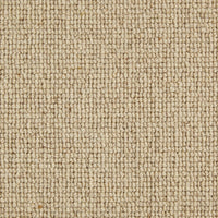 Bologna Carpet