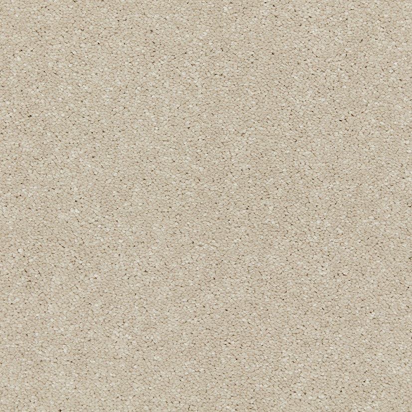 Smart Devotion Carpet