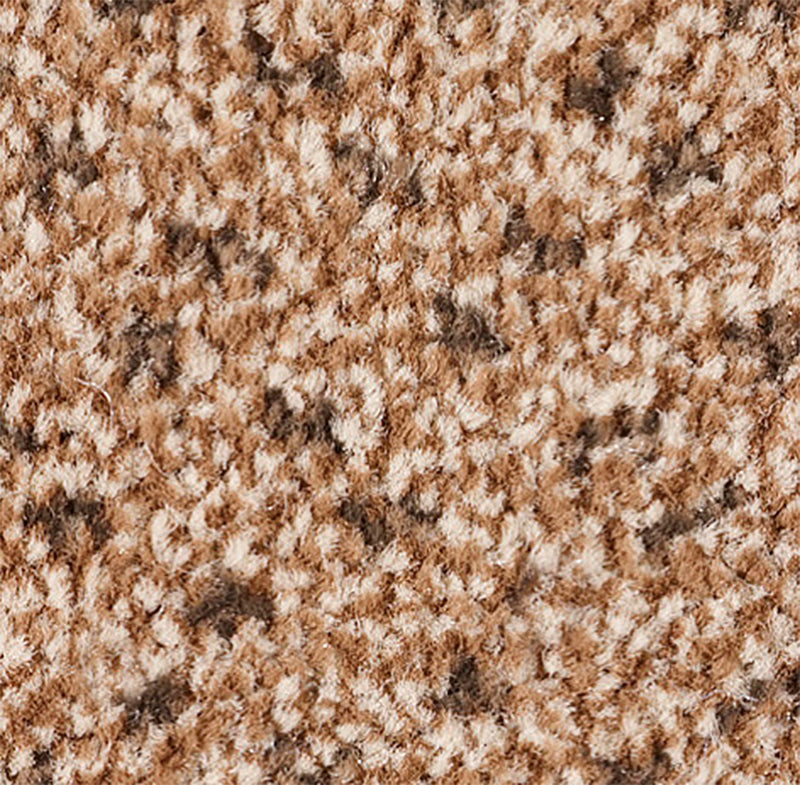 Residence Design Carpet