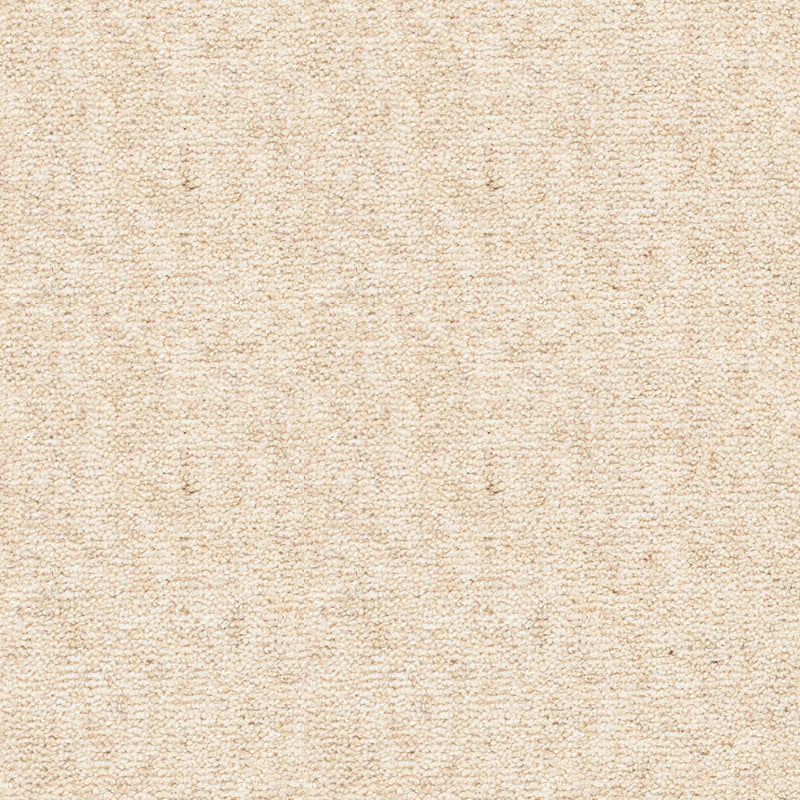 Rare Breeds Carpet