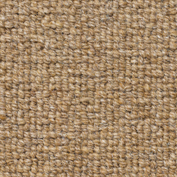 Rare Breeds Loop Carpet