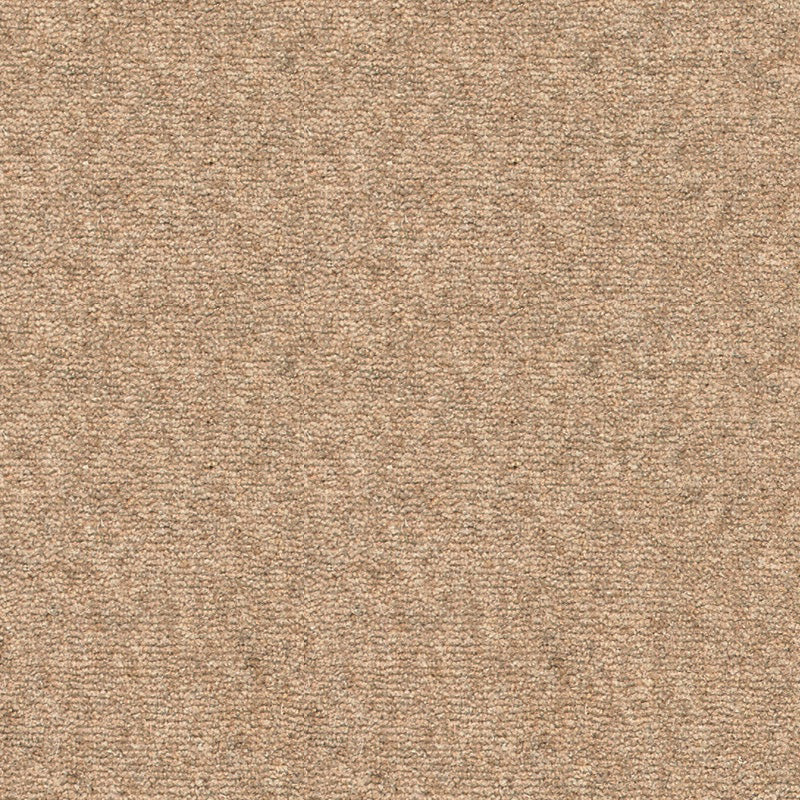 Rare Breeds Carpet