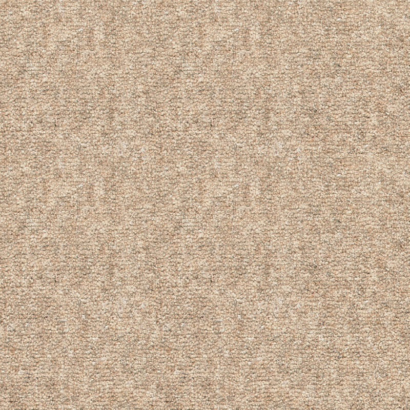 Rare Breeds Carpet