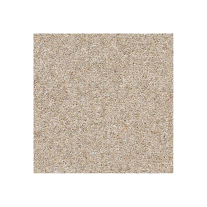 Rosedale Carpet