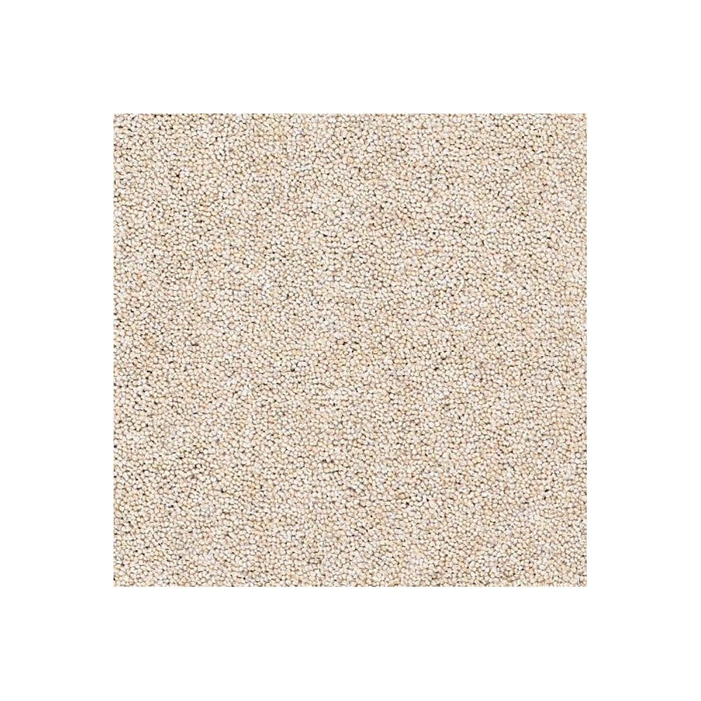 Rosedale Carpet