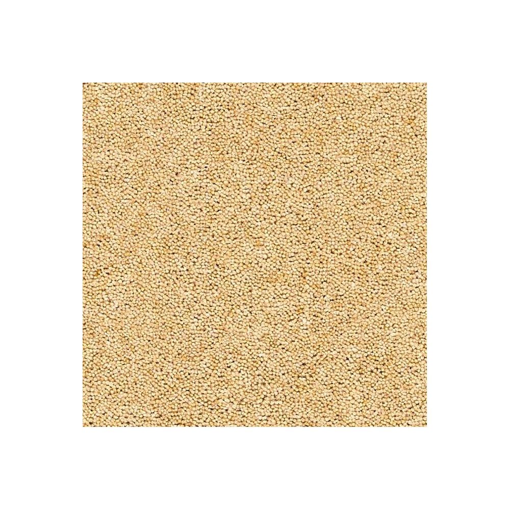 Rosedale Carpet