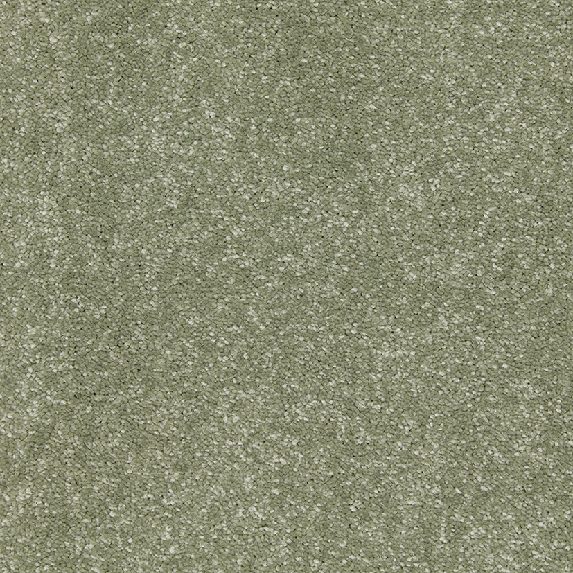 Smart Devotion Carpet