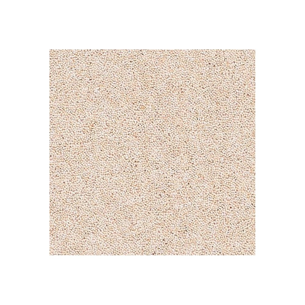 Rosedale Carpet