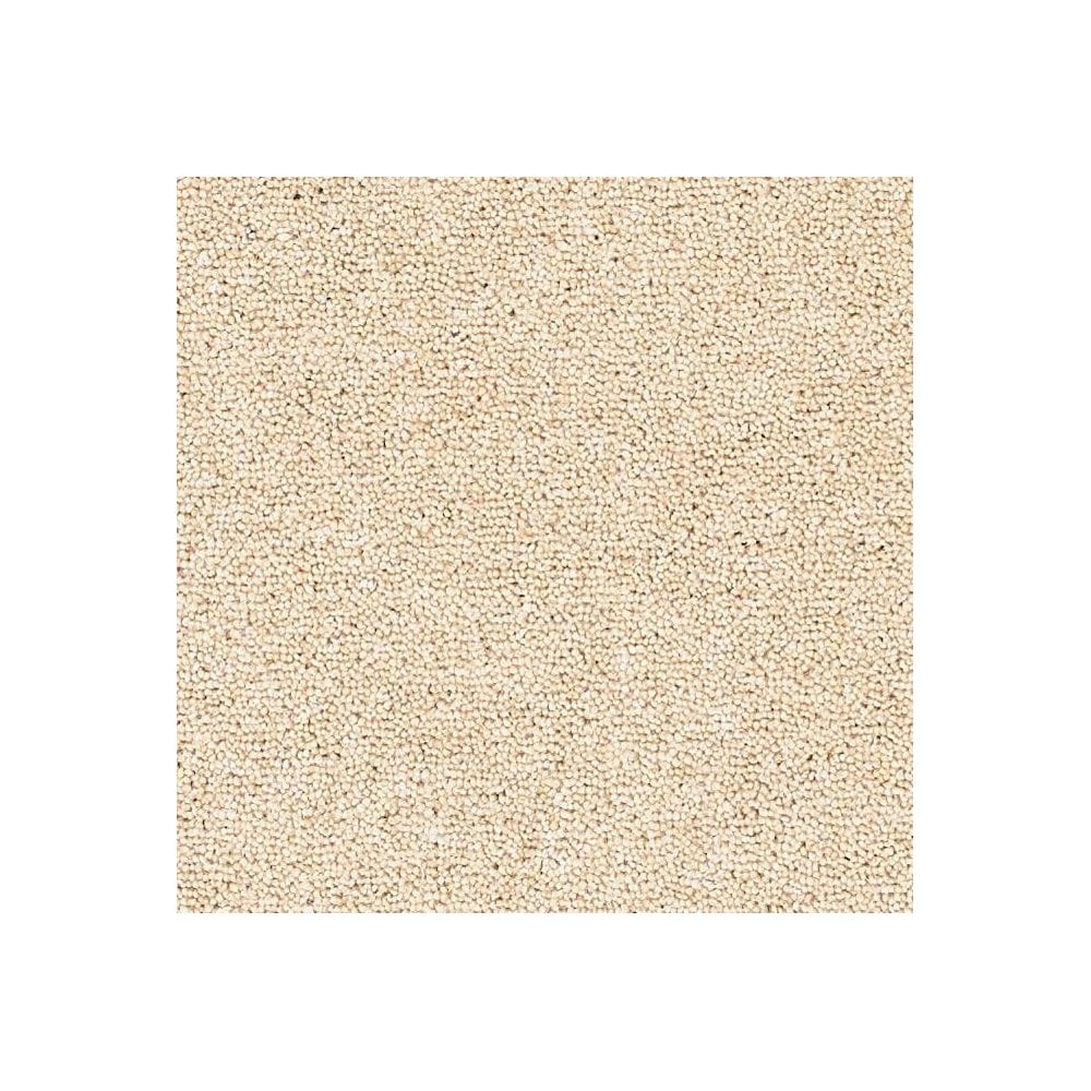 Rosedale Carpet