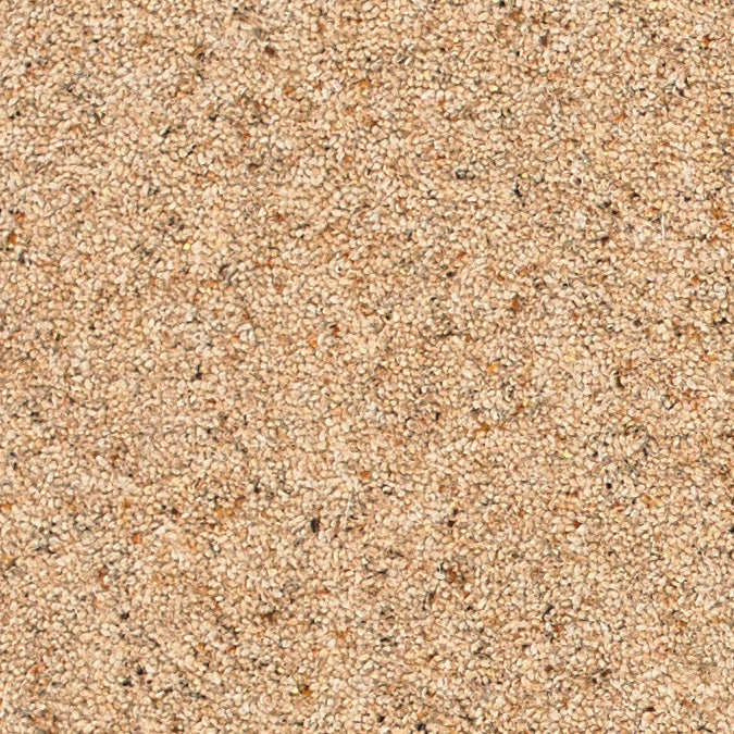 Brockway - Orion Twist Carpet