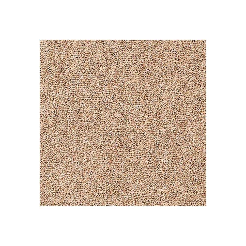 Rosedale Carpet