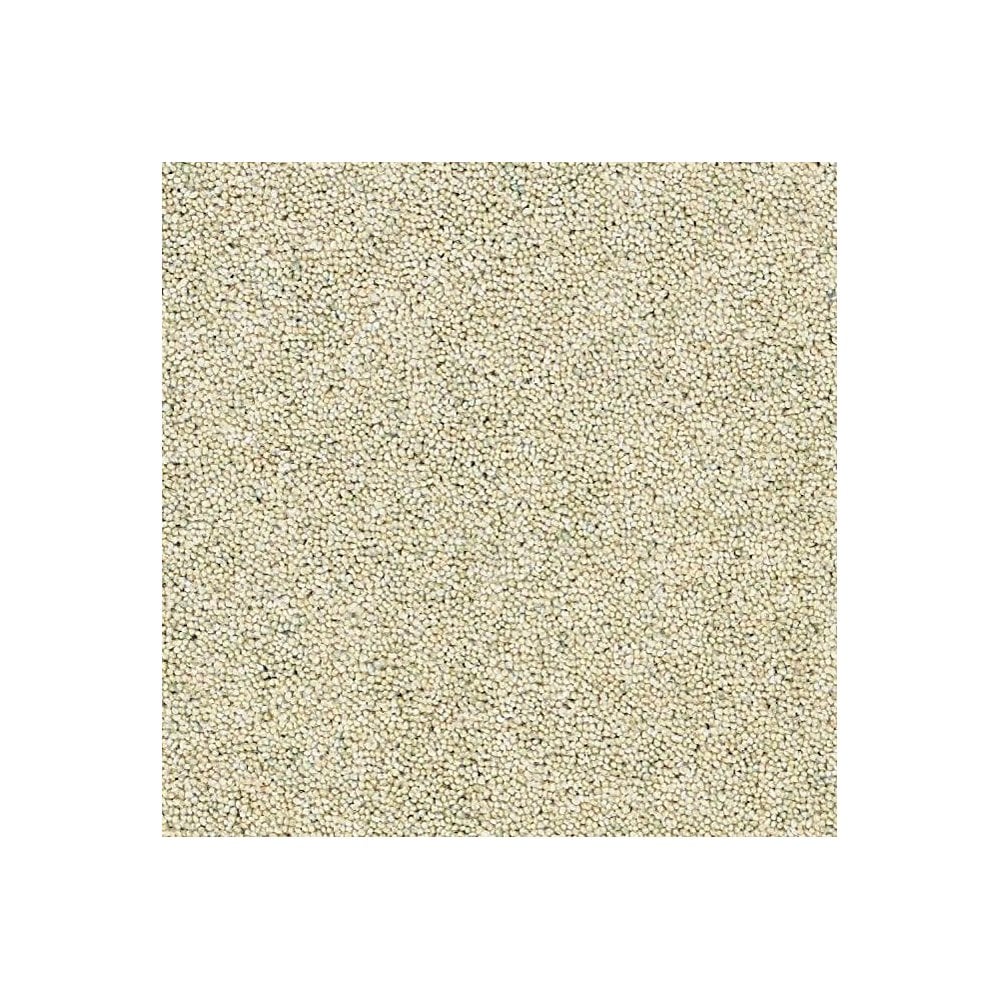 Rosedale Carpet