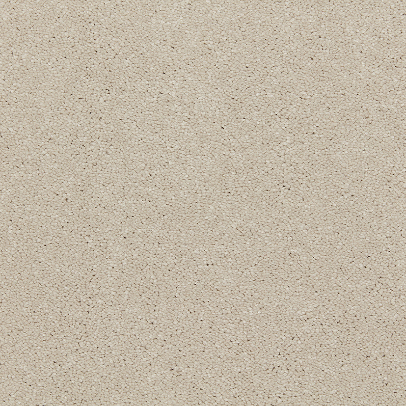 Smart Devotion Carpet