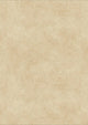 Gripstar Vinyl Flooring Collection