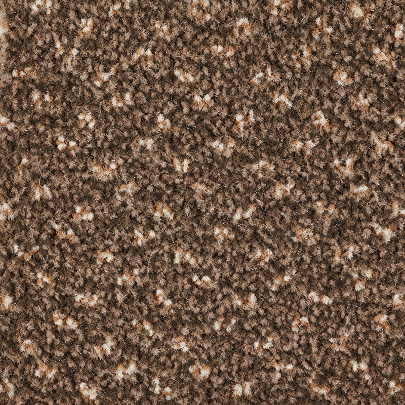 Residence Design Carpet