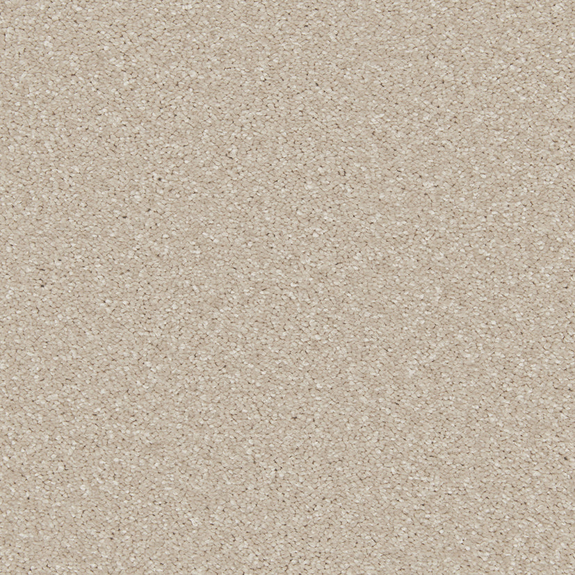 Smart Devotion Carpet