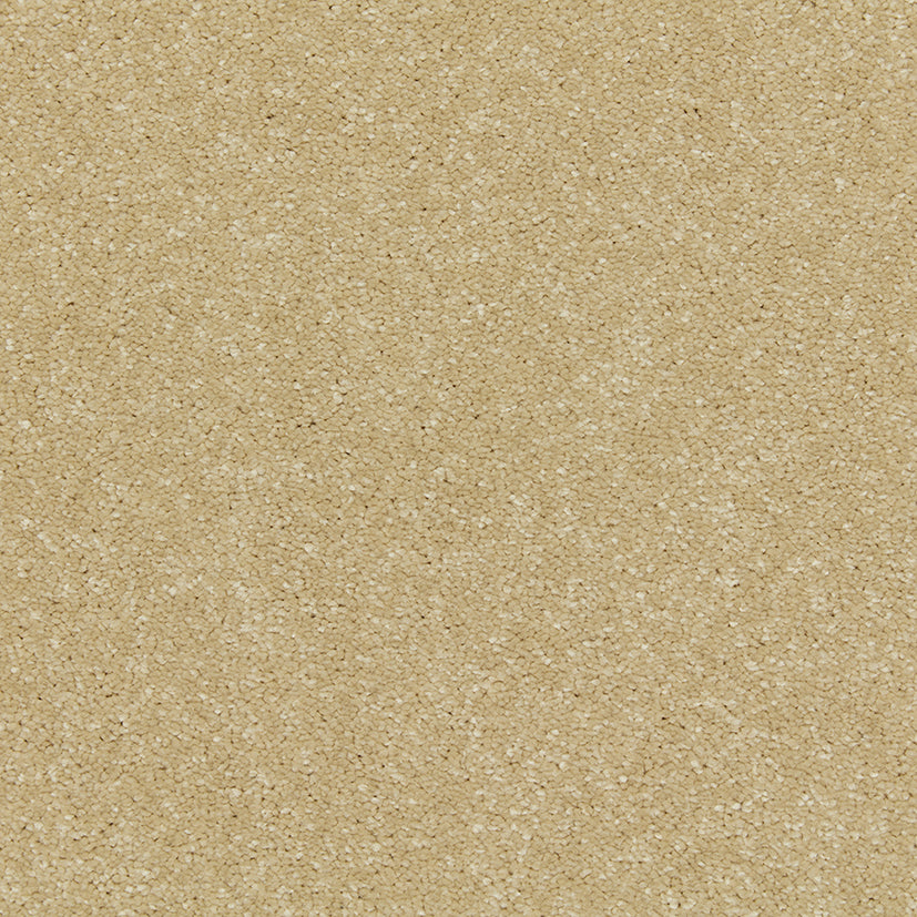 Smart Devotion Carpet