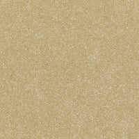 Smart Devotion Carpet