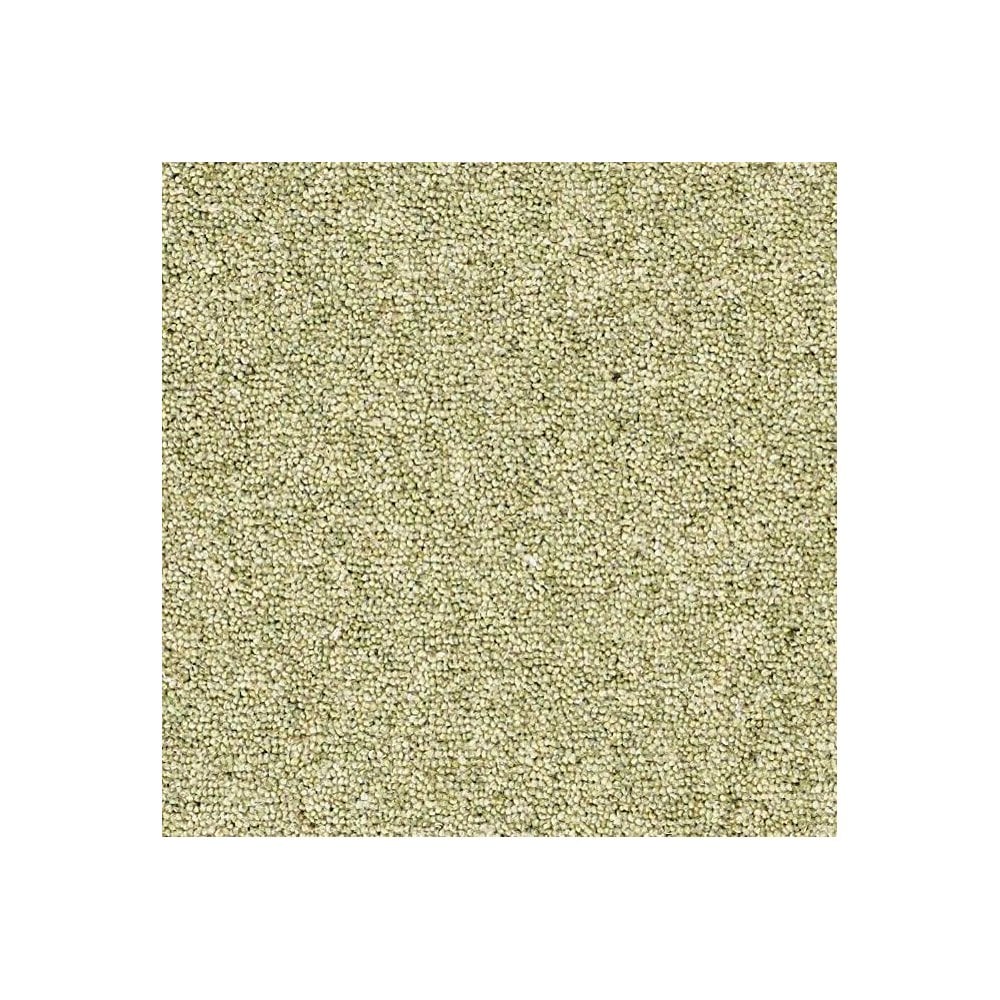 Rosedale Carpet