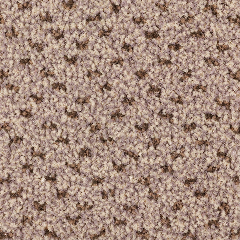 Residence Design Carpet