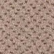 Residence Design Carpet