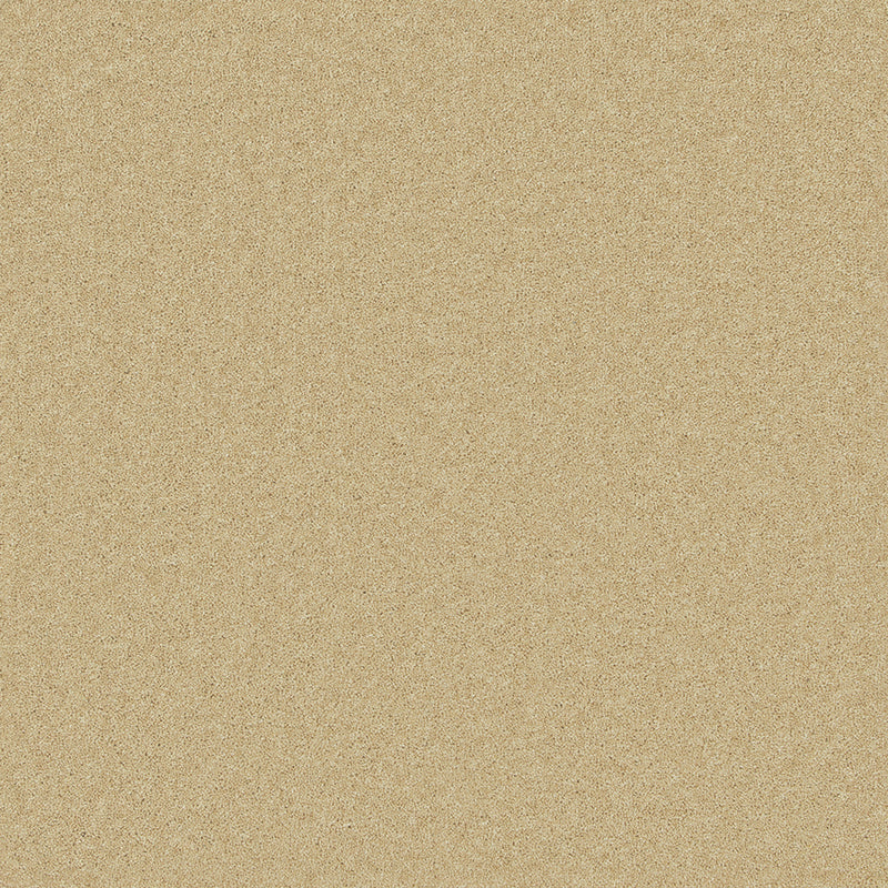 Ramsey Twist Carpet