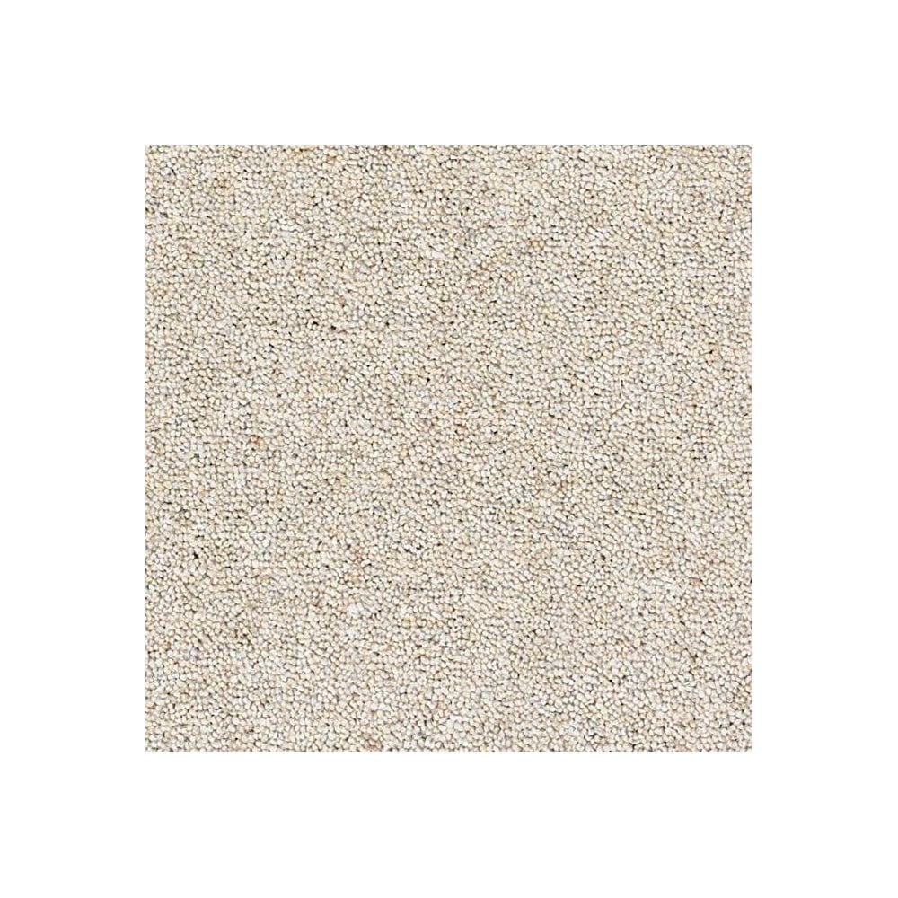 Rosedale Carpet