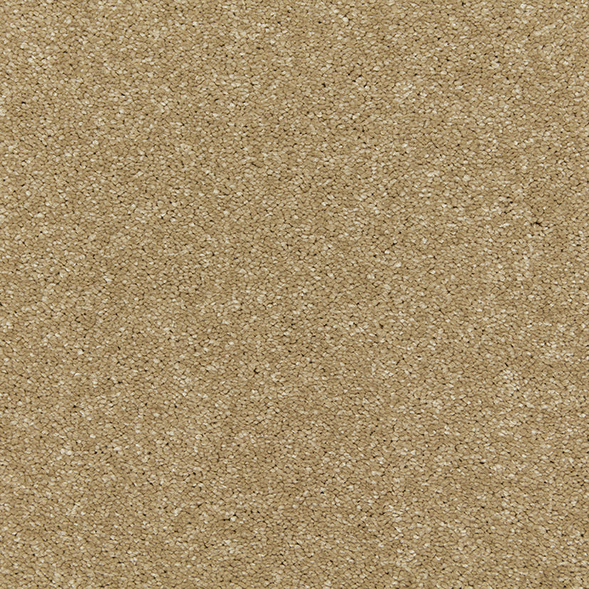 Smart Devotion Carpet