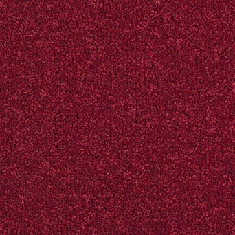 Solar Carpet