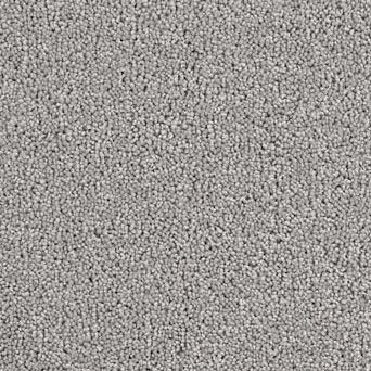 Solar Carpet