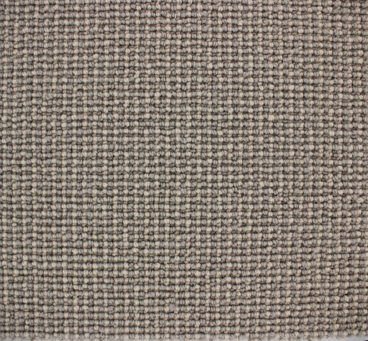 Palermo Carpet