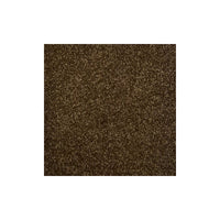 Harmony Carpet
