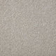 Smart Heathers Carpet