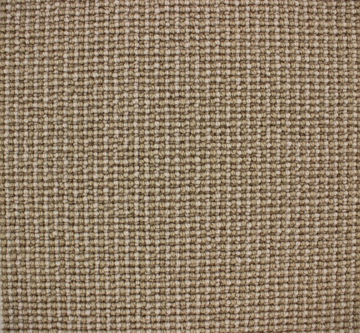 Palermo Carpet