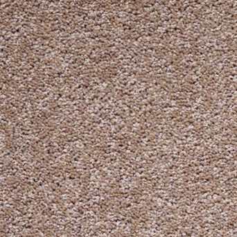 Solar Carpet