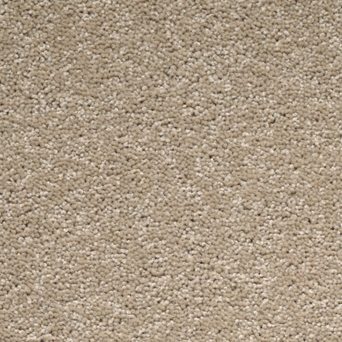 Solar Carpet