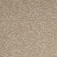 Solar Carpet