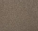 Smart Heathers Carpet