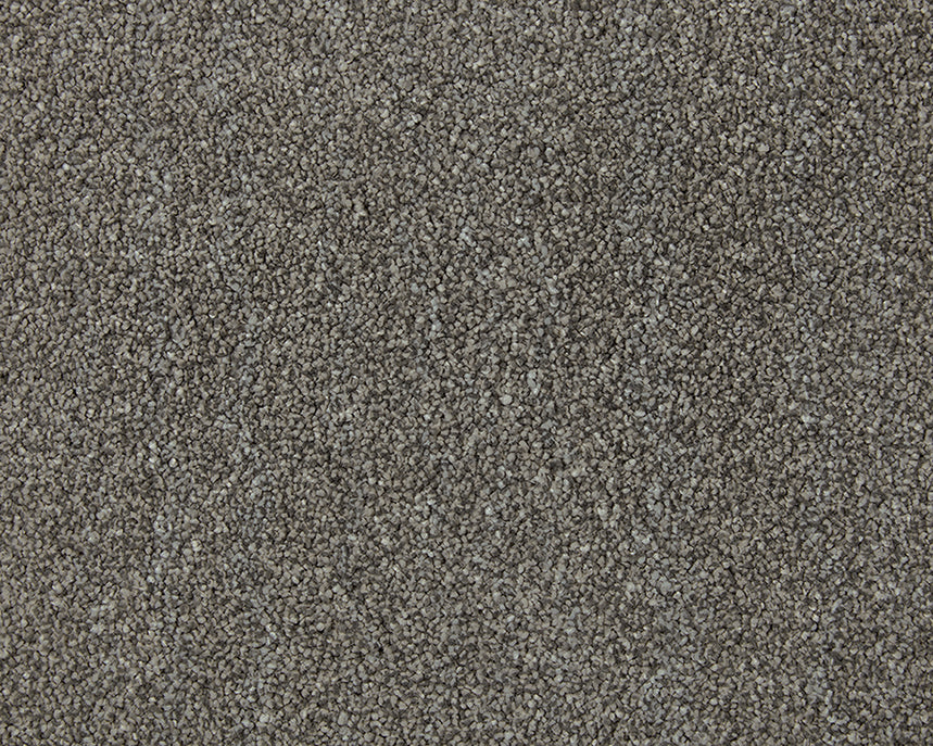Smart Heathers Carpet
