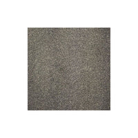 Harmony Carpet